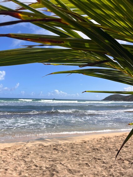 Picture 4 for Activity Learn to surf in Martinique with an expert coach (small groups) 4