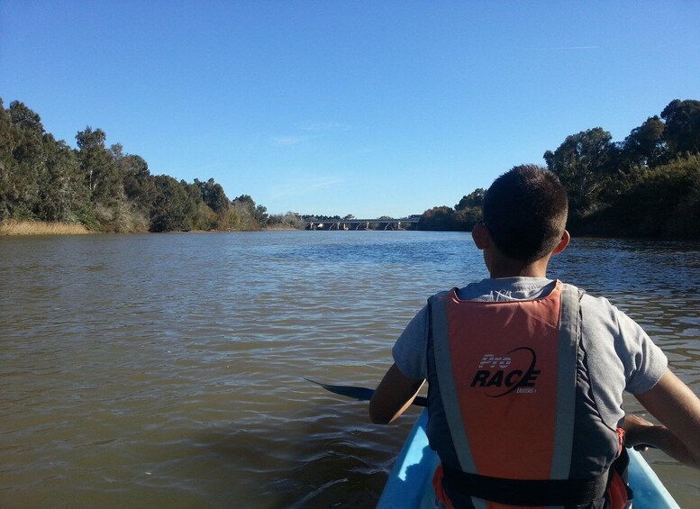 Picture 2 for Activity San Roque: Guided kayak route on the Guadiaro River 4