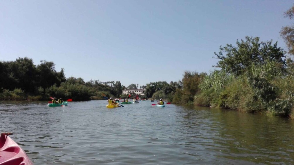 Picture 3 for Activity San Roque: Guided kayak route on the Guadiaro River 2
