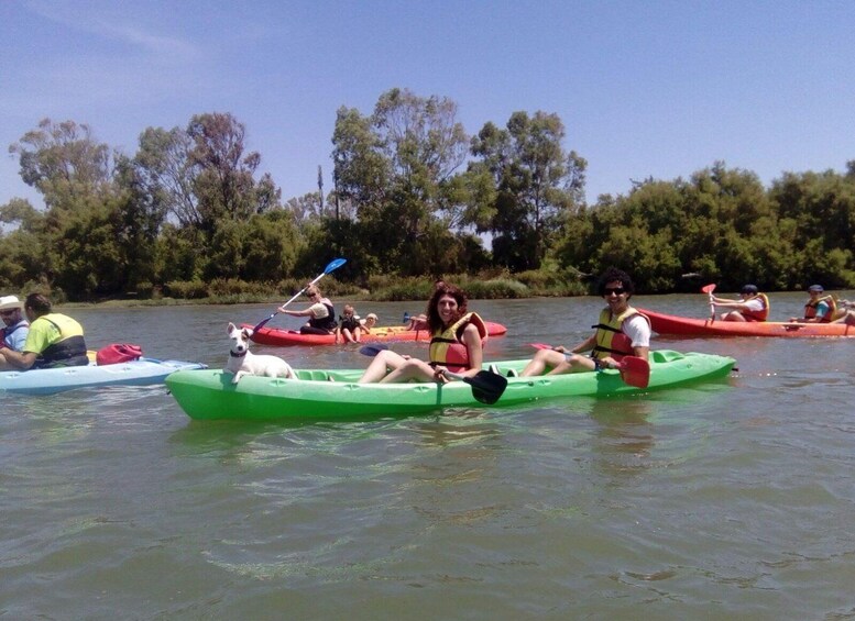 Picture 1 for Activity San Roque: Guided kayak route on the Guadiaro River 3