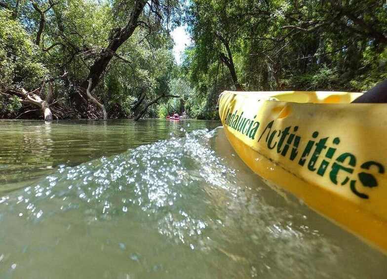 San Roque: Guided kayak route on the Guadiaro River 1