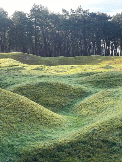 Rolling green hills with a forest in the background. 3