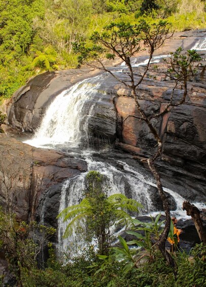 A waterfall cascading over layered rocks surrounded by dense greenery. 3