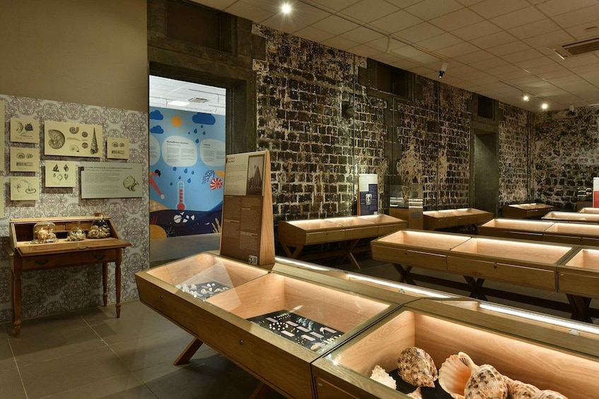 A museum exhibit with glass display cases containing fossils and informational panels. 4