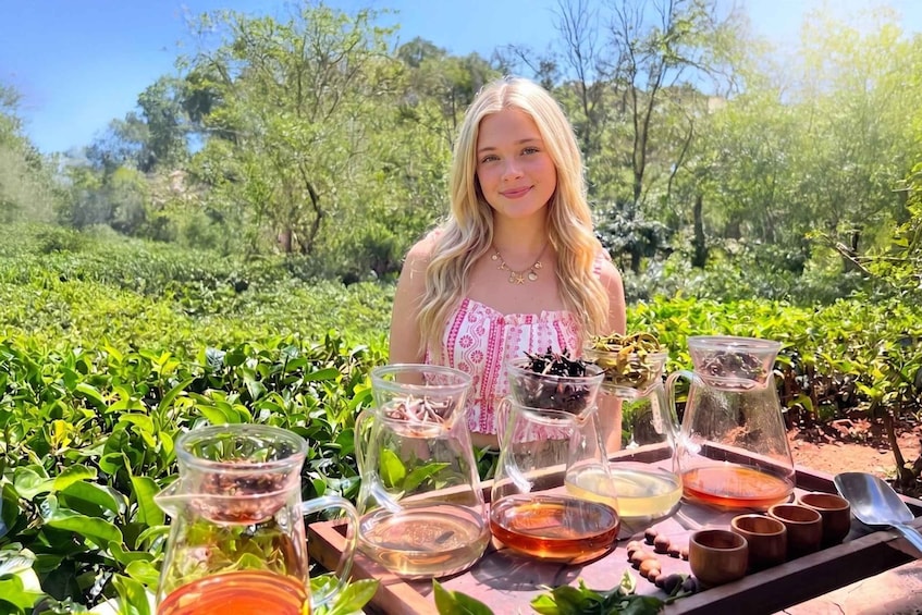 A person sitting at a table with various tea containers and cups in a lush green tea plantation. 1