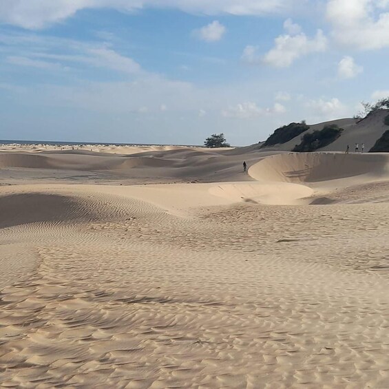 A desert landscape with sand dunes and a clear sky. 3