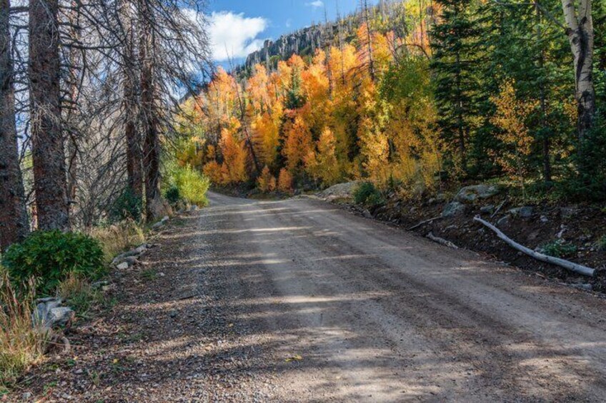 Bachelor Loop Colorado Ghost Tour Self Guided Audio Driving Tour 4