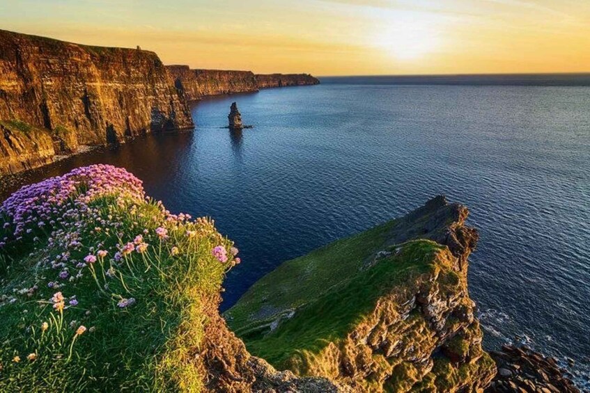 A coastal cliff with a rock formation in the water, a grassy cliff edge with pink flowers, and a sunset over the ocean. 1