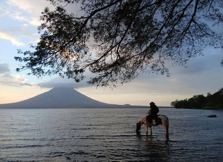 Picture 1 for Activity Sunset Horseback Riding on Ometepe Island: Beach 3