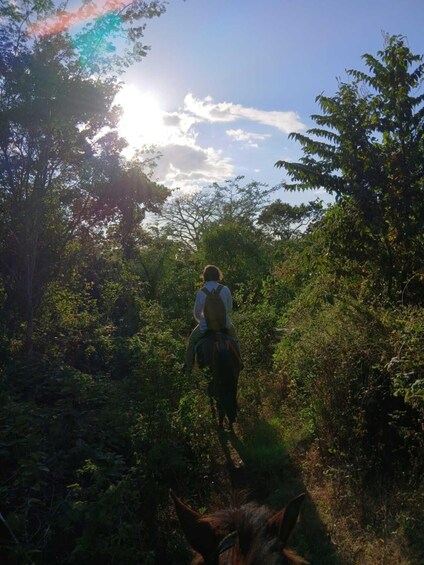 Picture 3 for Activity Sunset Horseback Riding on Ometepe Island: Beach 2