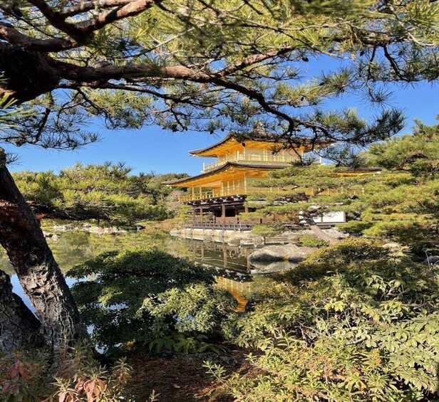 A traditional Japanese building with a reflection in a pond, surrounded by pine trees and shrubs. 3