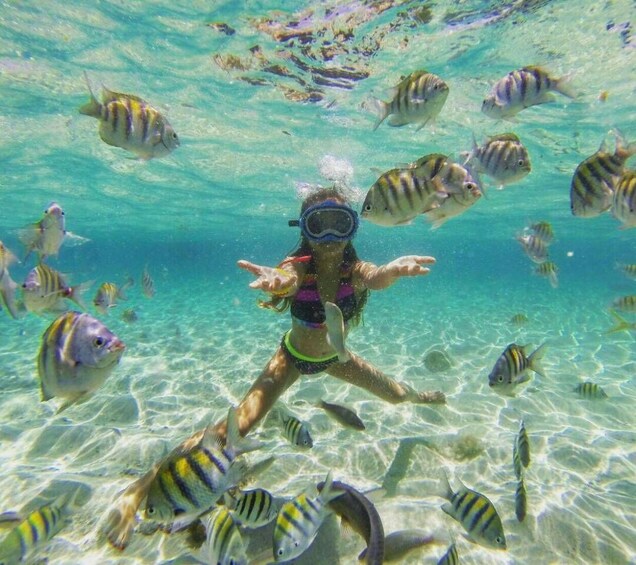 A person snorkeling surrounded by tropical fish in clear blue water. 4