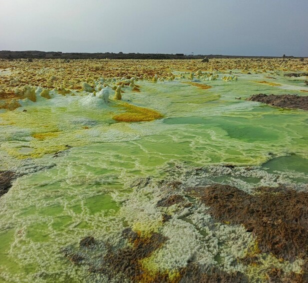 A geothermal area with mineral deposits and pools of water. 5