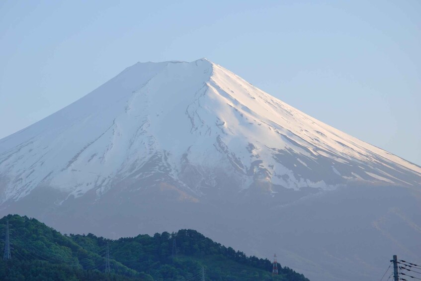 A snow-capped mountain with a forested base and power lines. 1