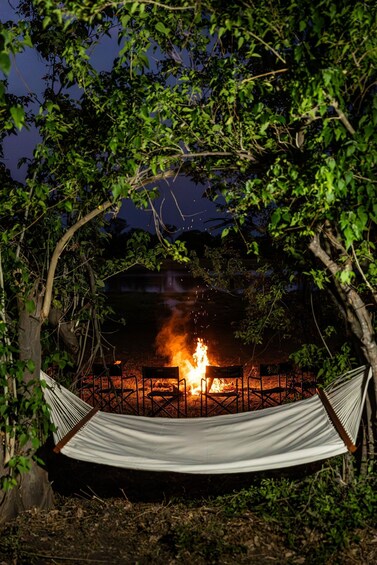 A hammock under a tree with a campfire in the background. 2