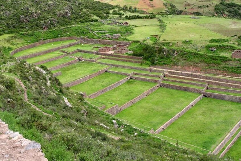 A terraced agricultural landscape with stone walls and green fields. 4