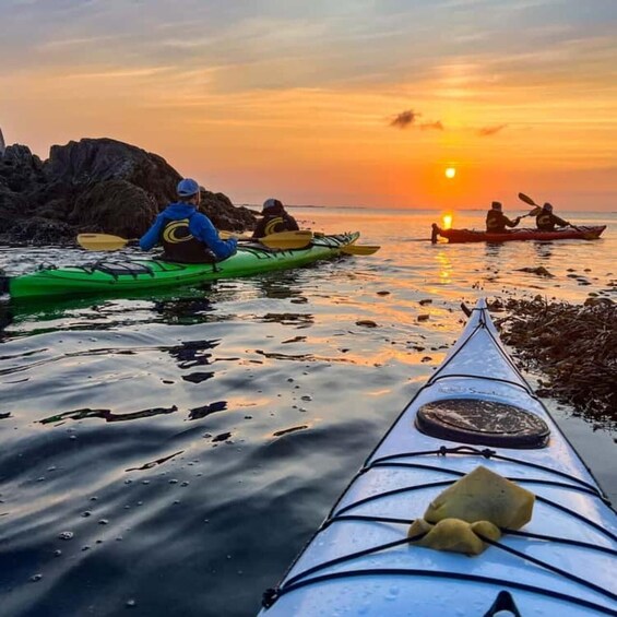 Picture 6 for Activity Lofoten Islands: Midnight Sun Kayaking Tour 5