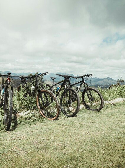 A row of mountain bikes parked on a grassy field with mountains in the background. 4