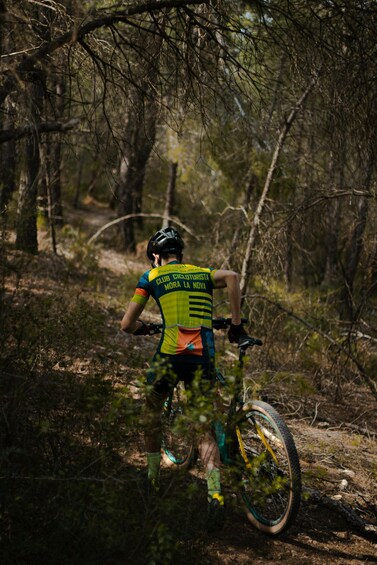 A mountain biker on a trail surrounded by trees. 1