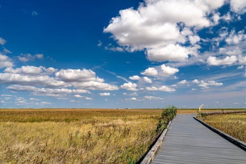 A wooden boardwalk through a grassy field with a clear blue sky. 3
