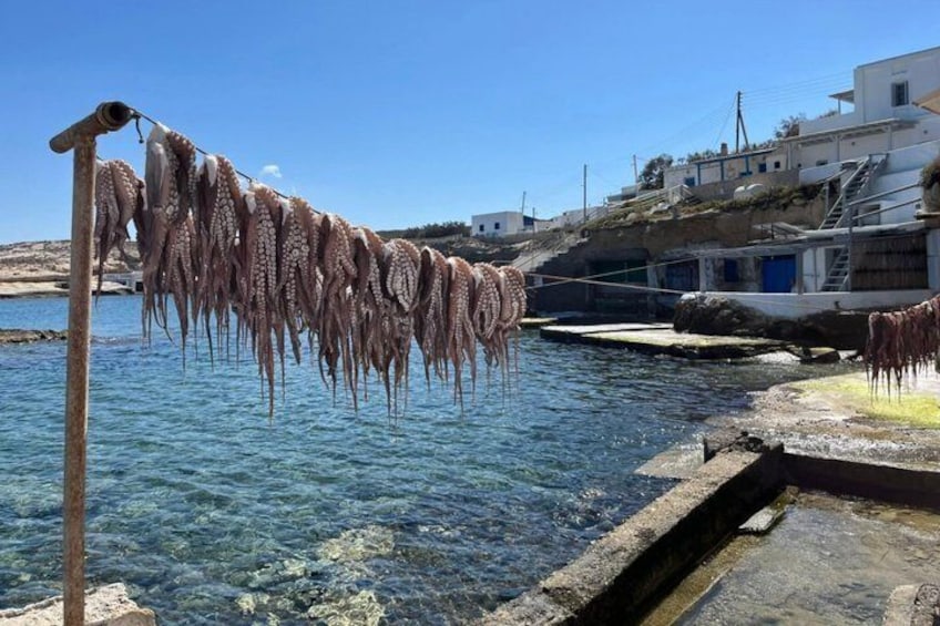Dried octopus hanging on a line by a coastal building. 4