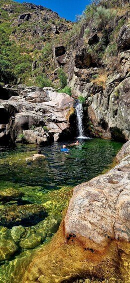 A clear mountain stream with rocks and a waterfall, surrounded by greenery. 1