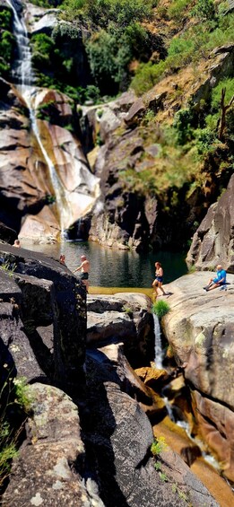 A waterfall cascading over rocks, surrounded by greenery and a clear pool of water. 5
