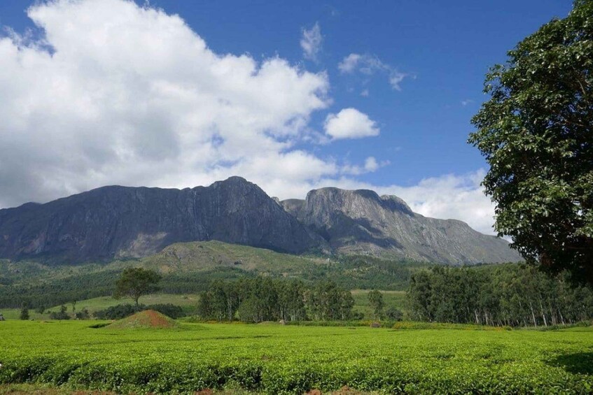 A mountainous landscape with green fields and a clear sky. 3