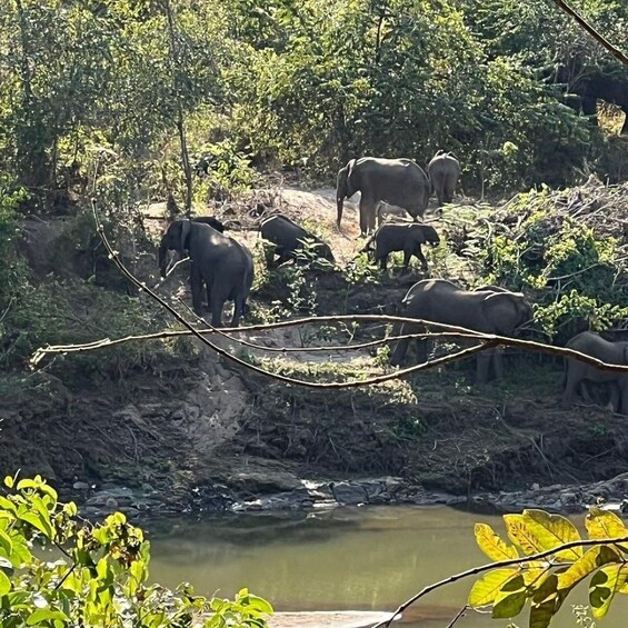 Picture 6 for Activity Lilongwe: Blantyre Overnight Tour with Michiru Mountain Hike 2