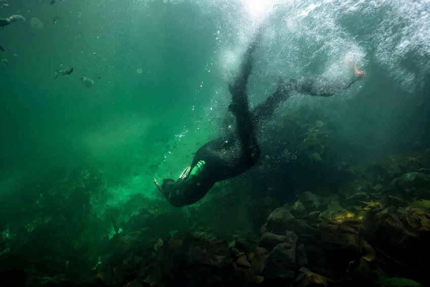 A diver underwater with bubbles, surrounded by rocks and aquatic plants. 1