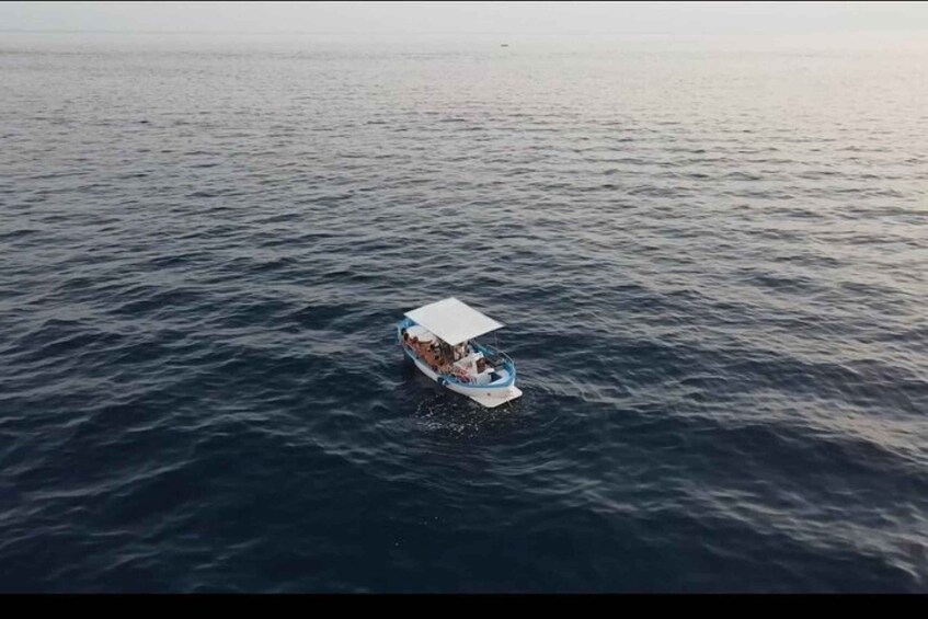 A boat with a canopy on the water. 3
