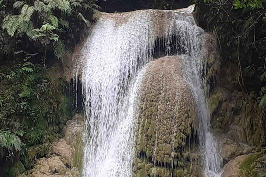 A waterfall cascading over moss-covered rocks surrounded by dense green foliage. 5