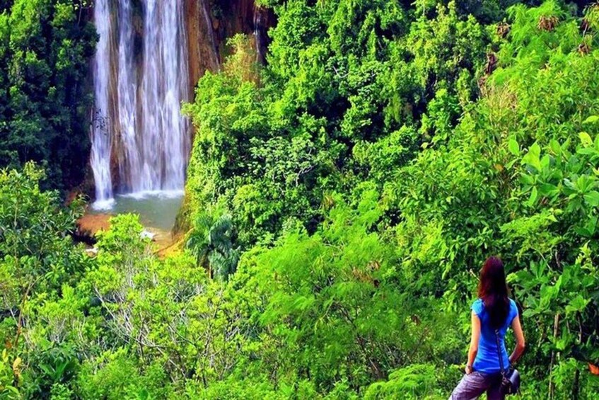 A waterfall surrounded by dense green foliage. 3