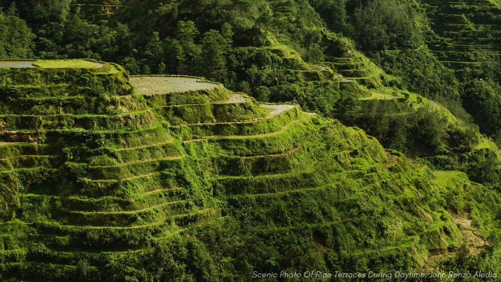 Terraced rice fields during daytime. 1