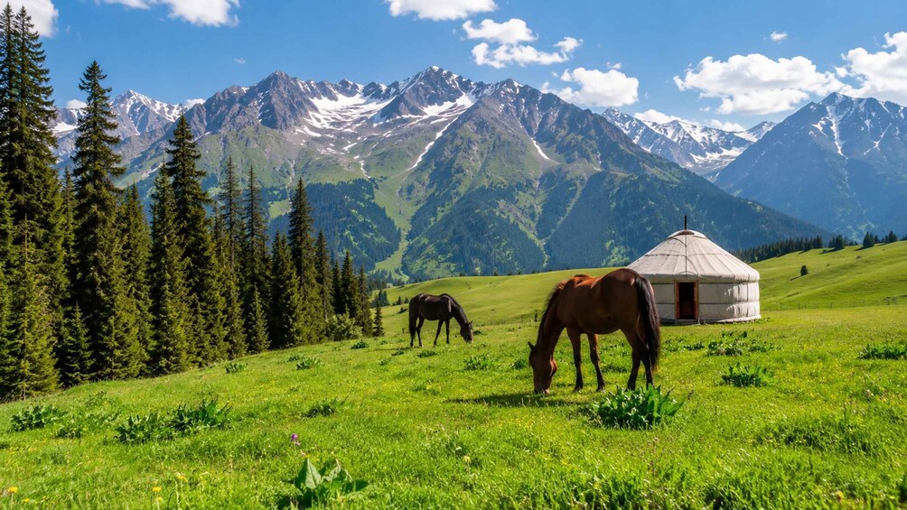 A green field with two horses grazing, a yurt, and snow-capped mountains in the background. 1