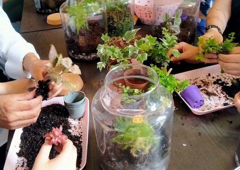 People planting seedlings in pots and a large glass container. 3