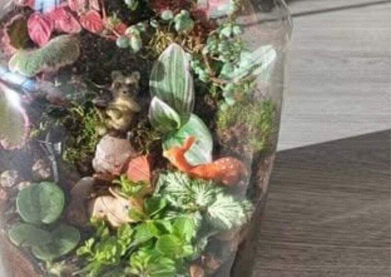 A terrarium with plants and a small figurine. 2