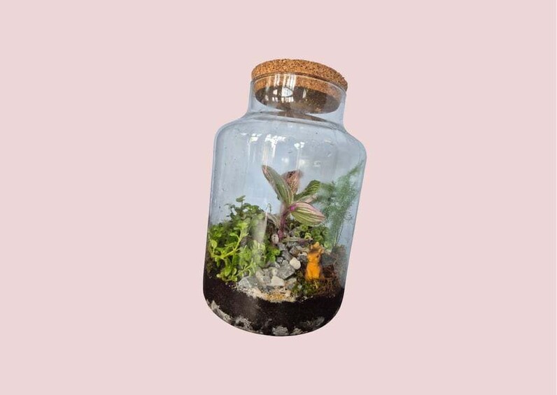 A glass terrarium with plants, rocks, and a small figurine. 1