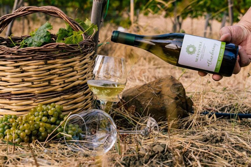 A hand pouring wine into a glass from a bottle, with a wicker basket of grapes and a wine glass on the ground. 1