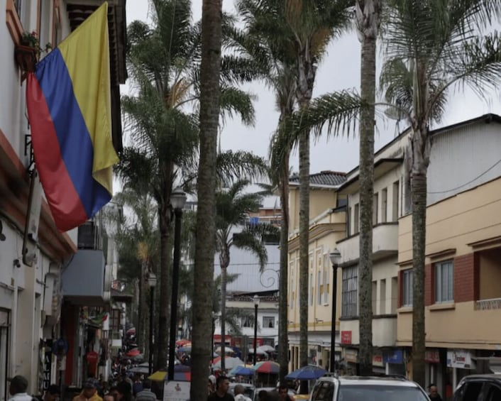 A street lined with palm trees and buildings, a flag, and parked cars. 3