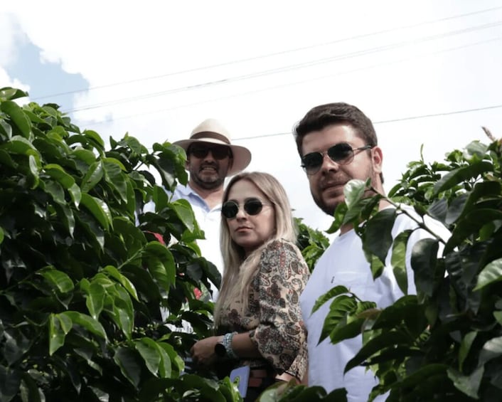 A group of people standing among green foliage. 2