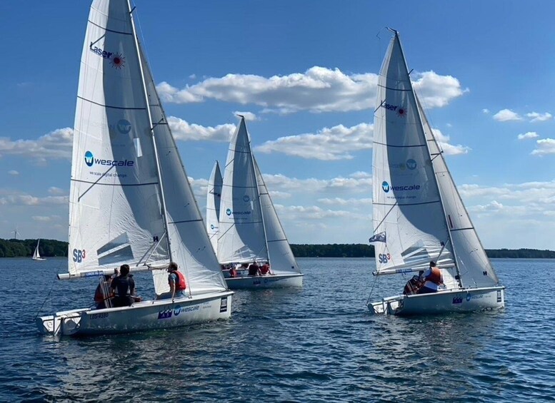Three sailboats with 'wescale' branding on their sails, sailing on a body of water with a clear sky and distant land. 1
