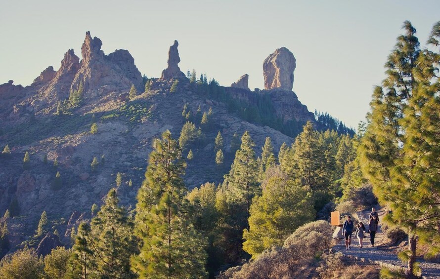 A mountainous landscape with prominent rock formations and dense pine forests. 2