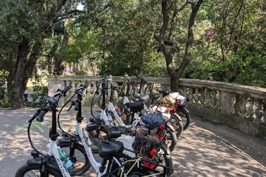 A row of electric bicycles parked along a tree-lined path. 2