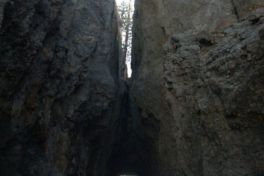 A narrow canyon with steep rock walls and a visible tree at the top. 3