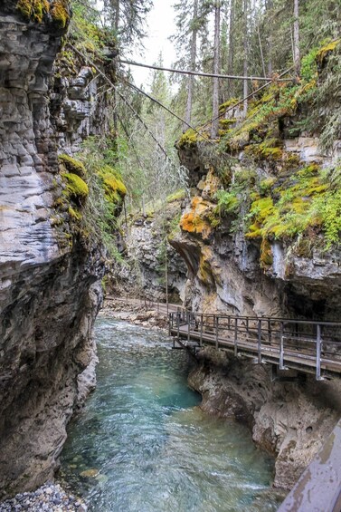 Picture 2 for Activity Lake Louise, Minnewanka, Two Jack, Johnston Canyon, Banff 2