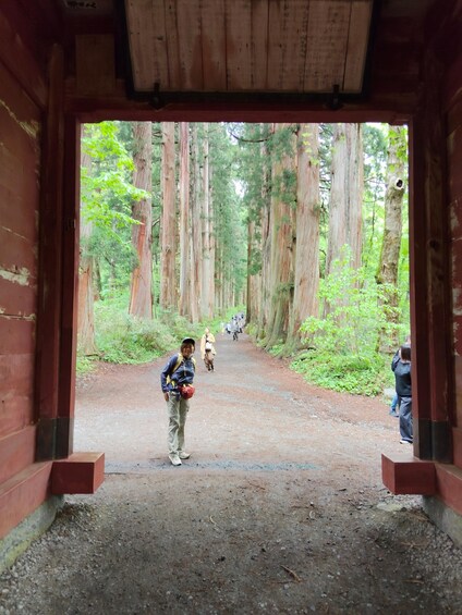 Picture 7 for Activity Nagano: Togakushi Shrine Trek & Soba Lunch Activity 3
