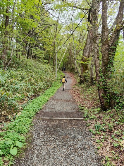 Picture 9 for Activity Nagano: Togakushi Shrine Trek & Soba Lunch Activity 2