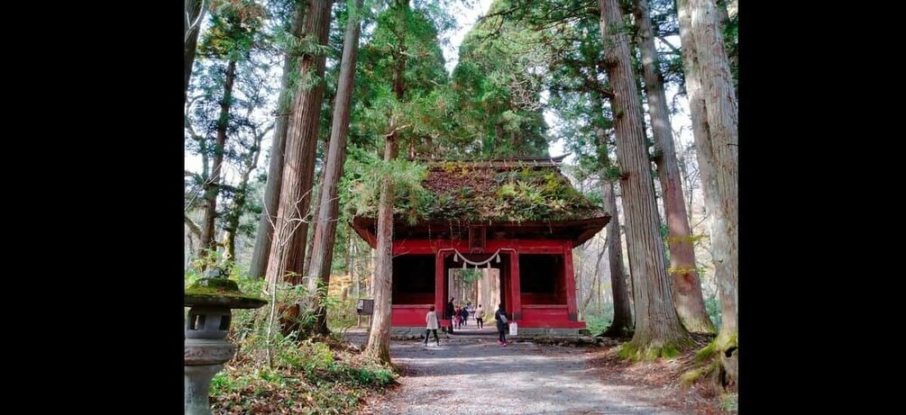 A traditional Japanese torii gate in a forested area with tall trees and a gravel path. 4
