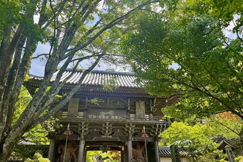 Un templo japonés tradicional con tejado de cerámica, rodeado de abundante vegetación. 3